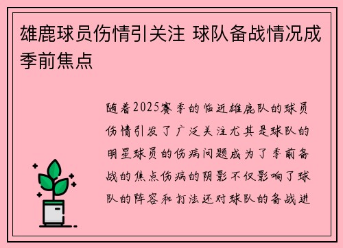 雄鹿球员伤情引关注 球队备战情况成季前焦点