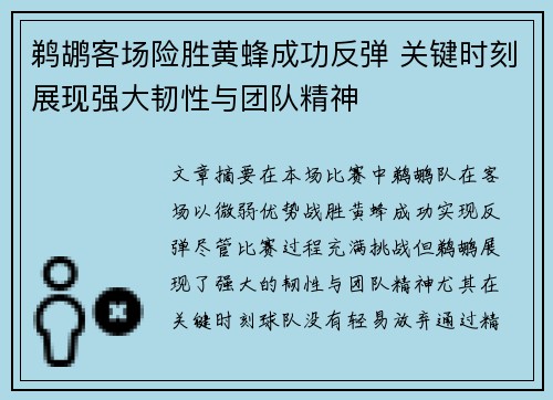 鹈鹕客场险胜黄蜂成功反弹 关键时刻展现强大韧性与团队精神