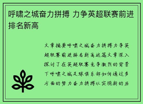 呼啸之城奋力拼搏 力争英超联赛前进排名新高